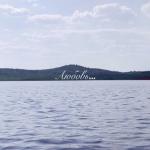 Светлана М